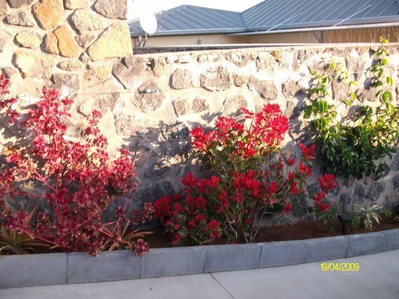 Les Nymphes De Bourbon Bed & Breakfast Saint Pierre Exterior foto